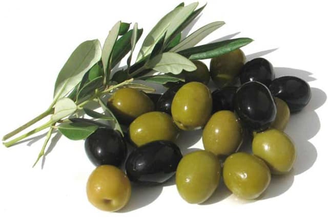Cover Image for Top 10 interesting facts about the olive fruit