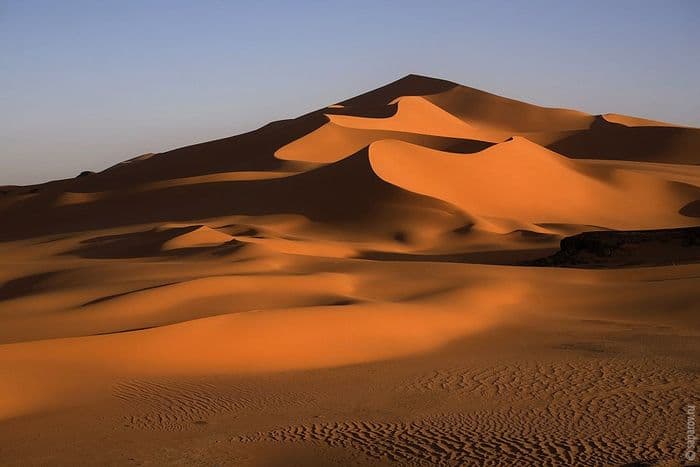 Cover Image for Top 10 Tallest Dunes