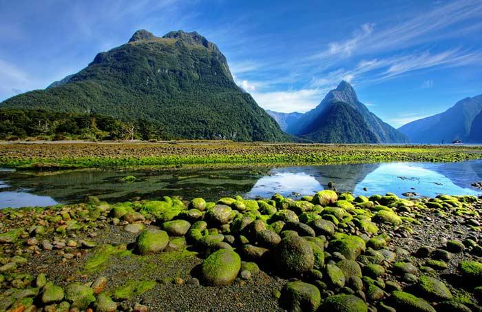 Cover Image for Top 10 interesting facts about New Zealand