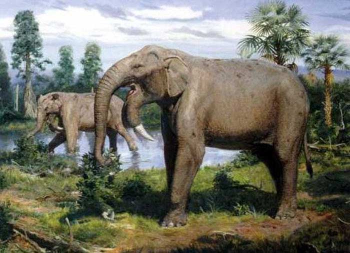 Cover Image for Top 10 Amazing ancestors and relatives of elephants