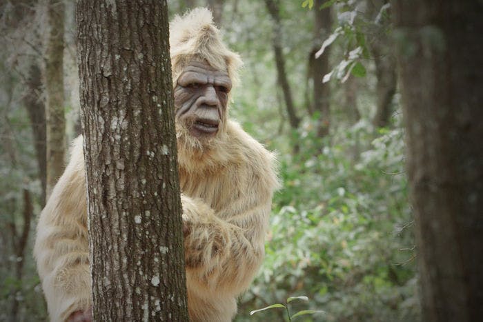 Cover Image for Top 10 What Bigfoot is called in other countries
